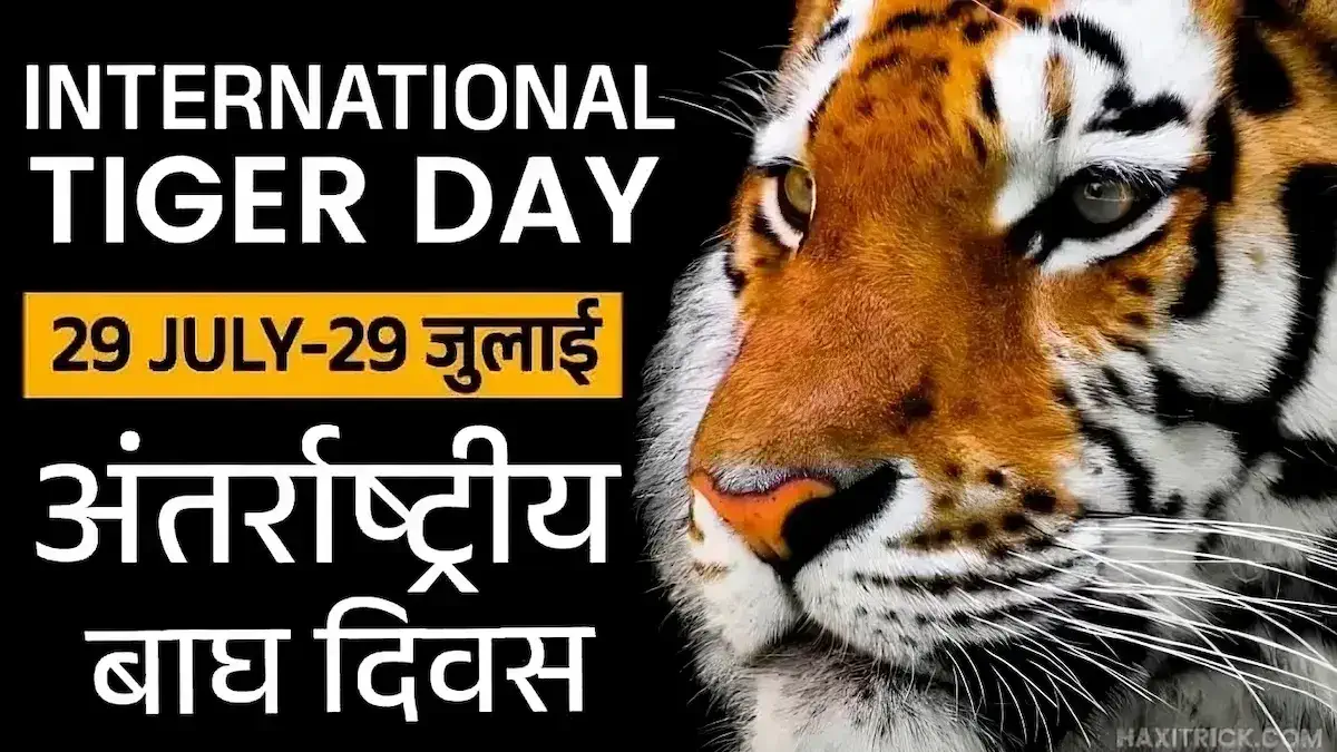 international tige day