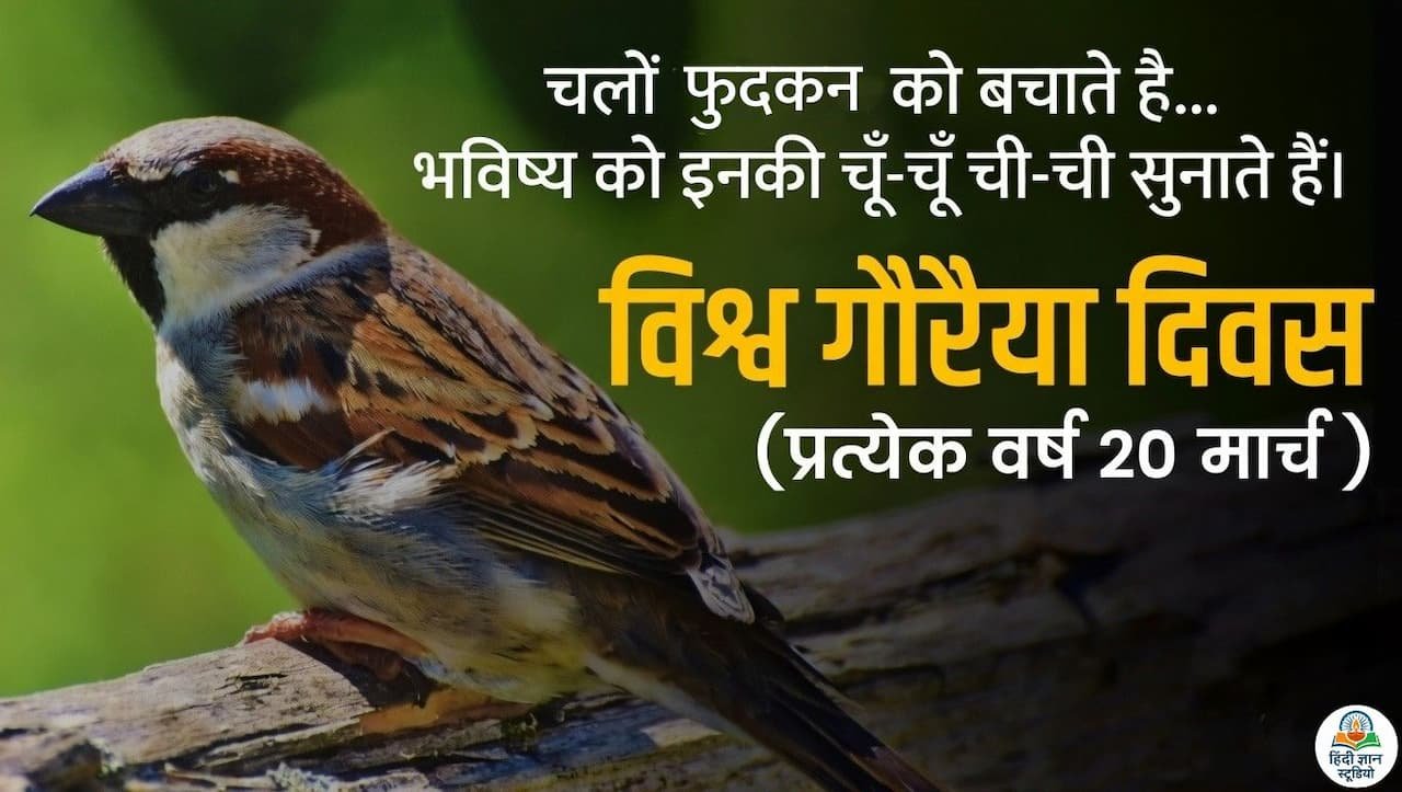 विश्व गौरैया दिवस - 20 मार्च