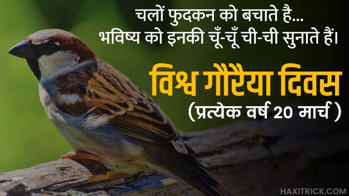 विश्व गौरैया दिवस - 20 मार्च विश्व गौरैया दिवस - 20 मार्च