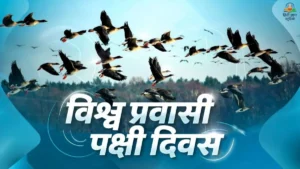 National Post Day 2026: राष्ट्रीय डाक दिवस कब, क्यों और कैसे मनाया जाता है? जानिए थीम, इतिहास, महत्व और भारतीय डाक का इतिहास 5 विश्व प्रवासी पक्षी दिवस 2026